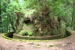 Madeira - Levada-Schleife