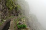 Madeira - Levada das Rabacas