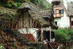 Madeira - Queimadas