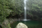 Madeira - Caldeirao Verde