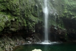 Madeira - Caldeirao Verde