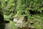 Madeira - Vor dem Pico Ruivo Tunnel