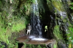 Madeira - Klamm der Ribeira Grande