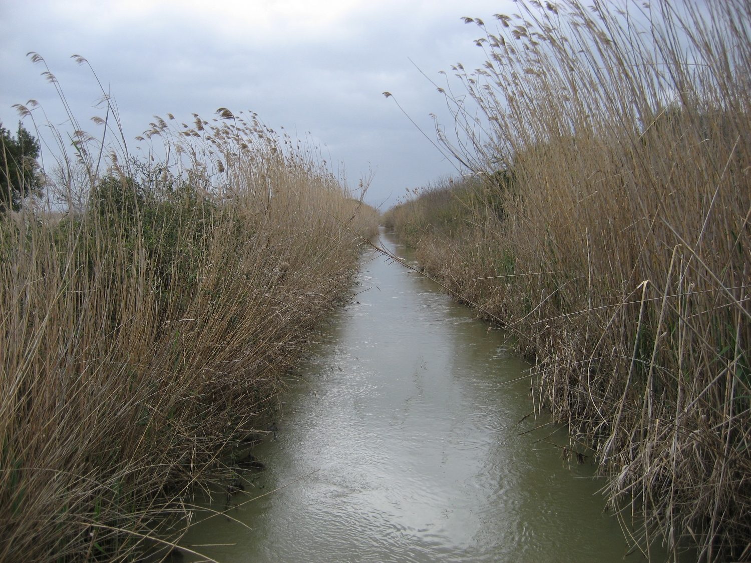 Mallorca - Naturpark s’Albufera