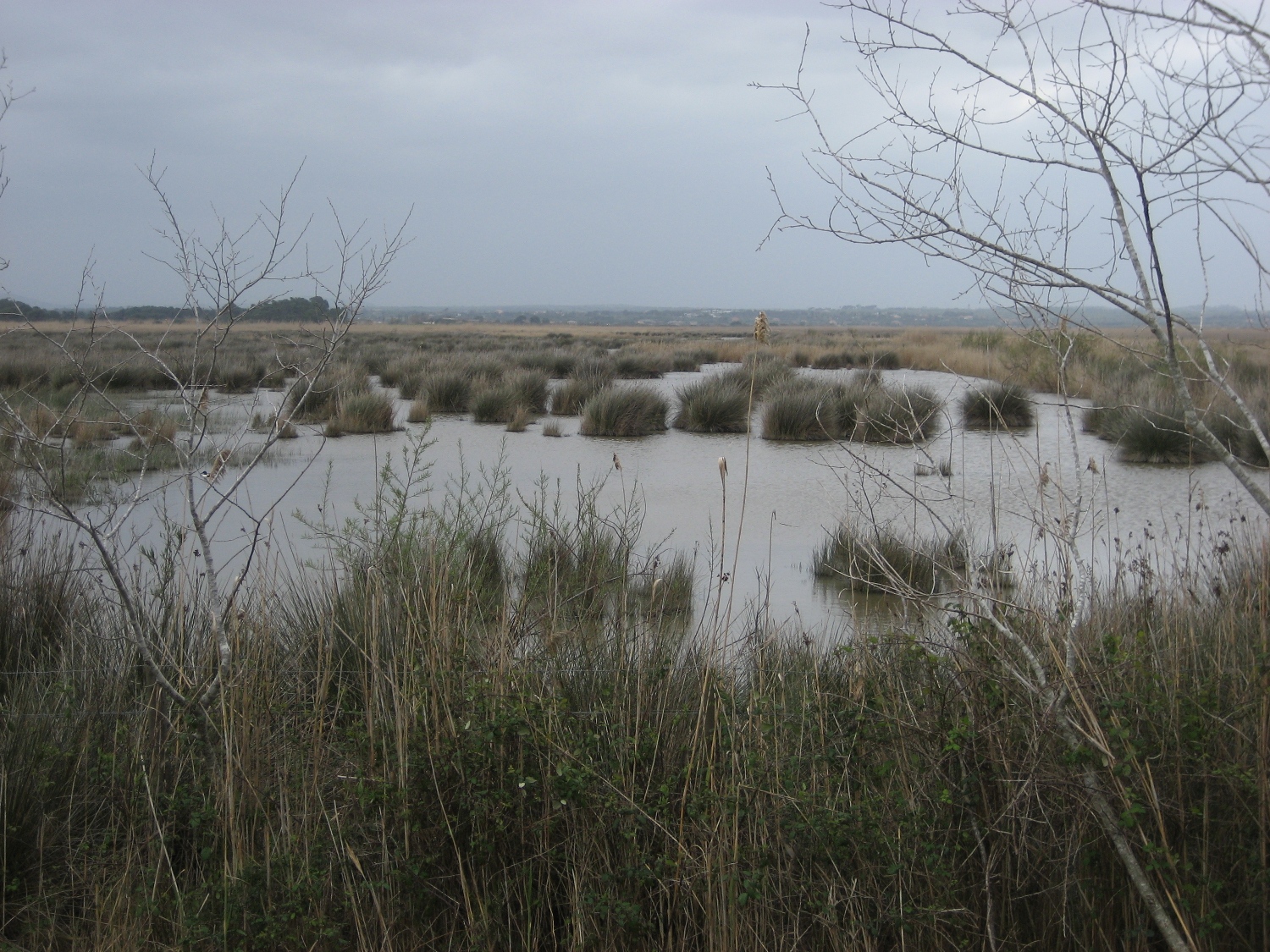 Mallorca - Naturpark s’Albufera
