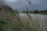 Mallorca - Naturpark s’Albufera
