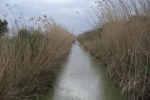 Mallorca - Naturpark s’Albufera