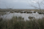 Mallorca - Naturpark s’Albufera