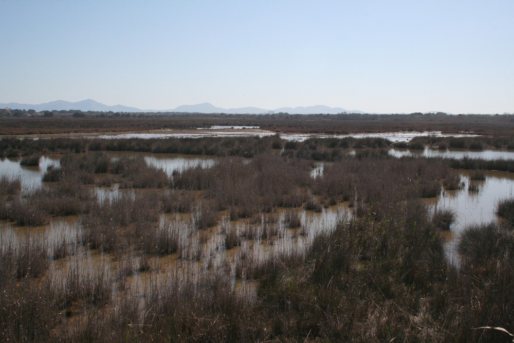 Mallorca - Naturpark s’Albufera