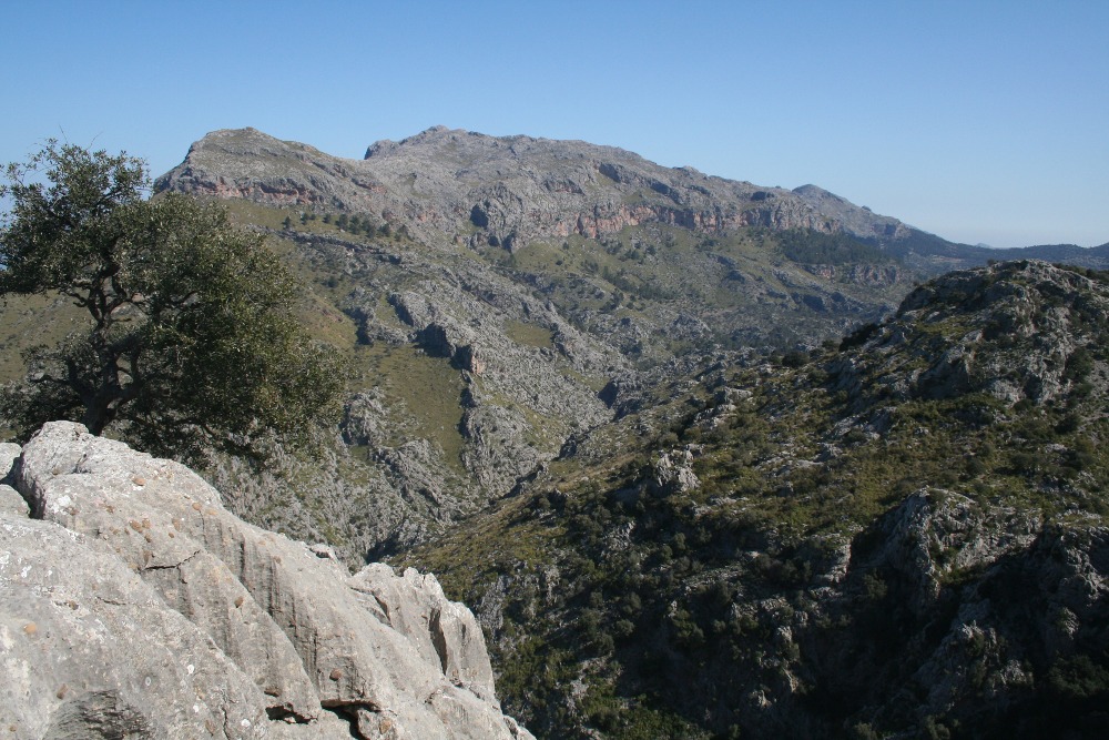 Mallorca - In der Tramuntana