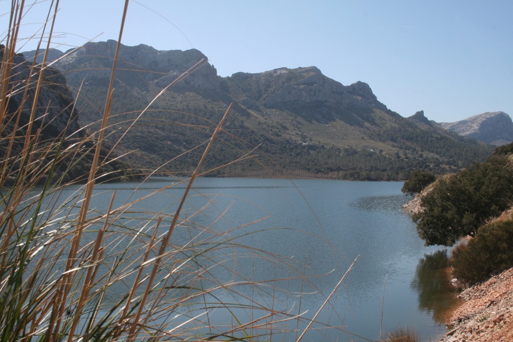 Mallorca - Stausee Gorg Blau