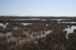 Mallorca - Naturpark s’Albufera
