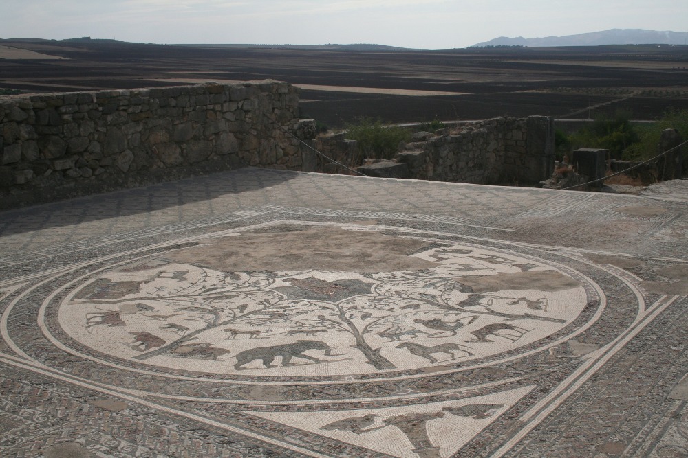 Marokko: Mosaik in Volubilis
