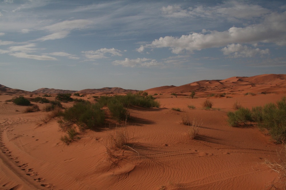 Marokko: Viel Sand, wenig Grün