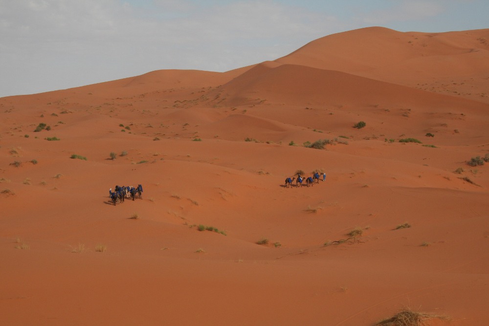 Marokko: Ein Teil unserer Karawane im Erg Chebbi
