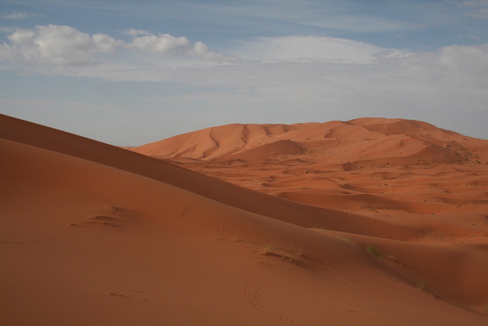 Marokko: Mitten im Erg Chebbi