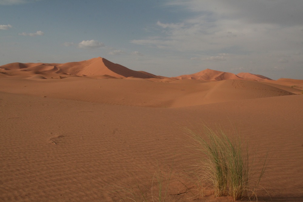 Marokko: Dünen im Erg Chebbi