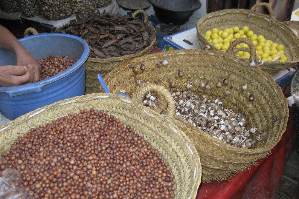 Marokko: Frische Schnecken