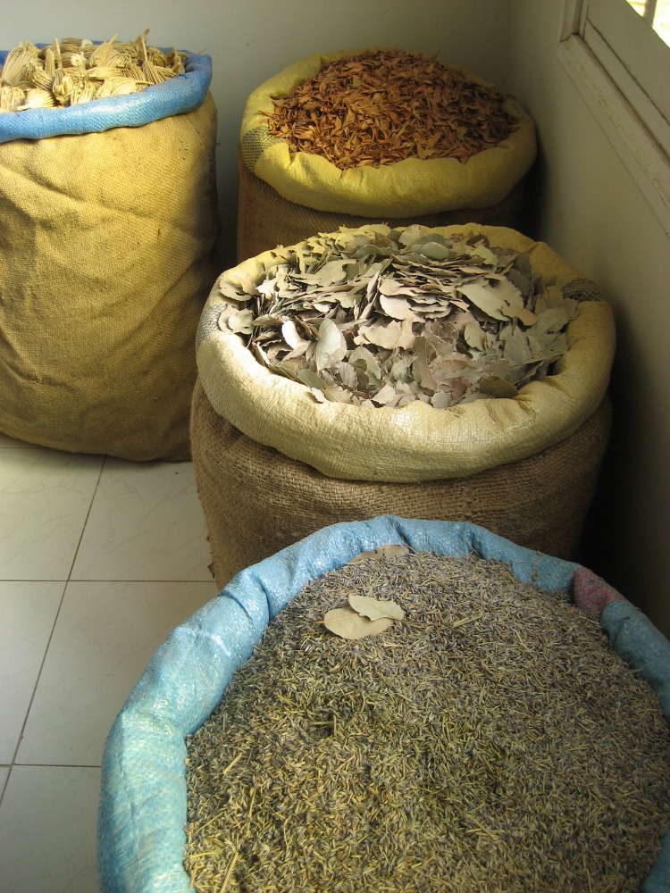 Marokko: In der Berber-Apotheke