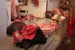 Marokko: Markthalle Meknes