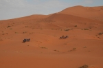 Marokko: Ein Teil unserer Karawane im Erg Chebbi