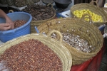 Marokko: Frische Schnecken