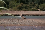 Marokko: Am Mgoun-Fluss
