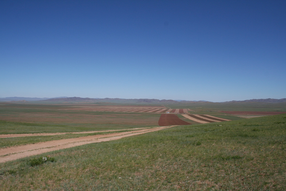 Mongolei: Seltene Ackerbaufläche