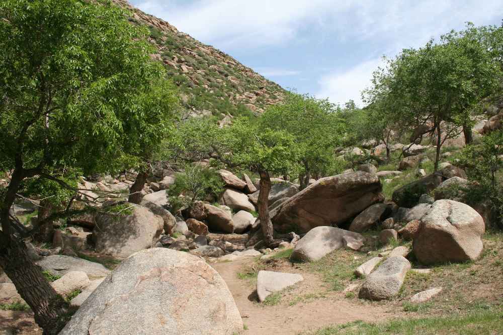 Mongolei: Khogno-Khan-Berge