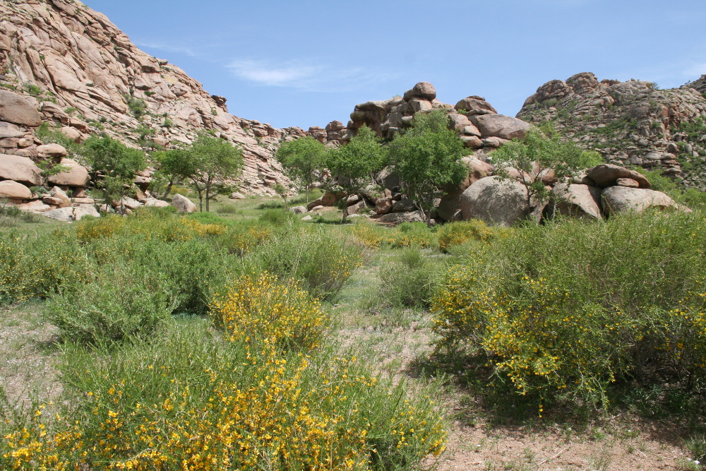 Mongolei: Khogno-Khan-Berge