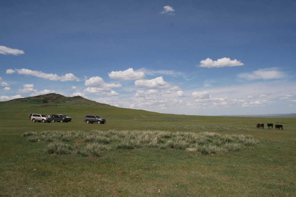 Mongolei: Unsere Autos in der Steppe