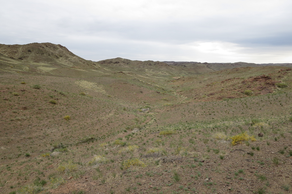 Mongolei: Karge Landschaft