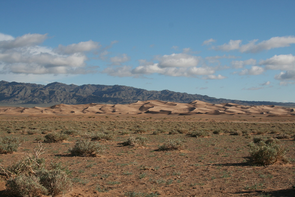 Mongolei: Khongoryn Els