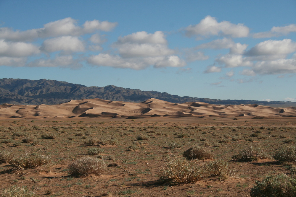 Mongolei: Khongoryn Els