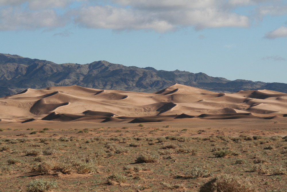 Mongolei: Khongoryn Els