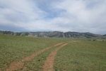 Mongolei: Gebirgssteppe