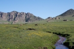 Mongolei: Terelj-Nationalpark