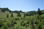 Mongolei: Terelj-Nationalpark