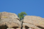Mongolei: Überlebenskünstler