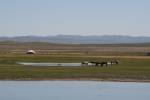 Mongolei: Eine einsame Jurte