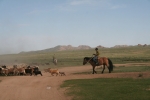 Mongolei: Nomaden mit Ziegenherde