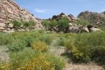 Mongolei: Khogno-Khan-Berge