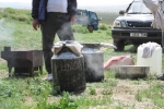 Mongolei: Hammel in der Milchkanne