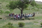 Mongolei: Kleines Picknick