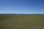 Mongolei: Viehherden im Orkhon-Tal