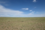Mongolei: Jede Menge nichts, egal wohin man blickt