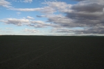 Mongolei: Weite, dieses Mal in Schwarz