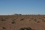 Mongolei: Unser Camp im Nichts
