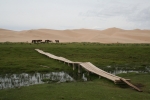 Mongolei: Pferde vor den Dünen von Khongoryn Els