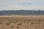 Mongolei: Kamele bei Khongoryn Els